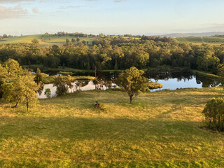 Obraz premium landscape with trees