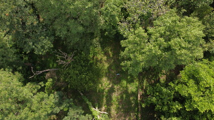 green moss on the stone