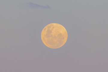 Strawberry Moon - Full Moon Rising