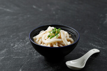 Iseudon Local Japanese Udon Noodle Cuisine