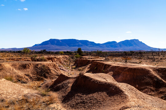 eroded waterways with Wilpena Pound in background