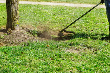 The process of cutting the lawn with cordless grass trimmer edger close-up