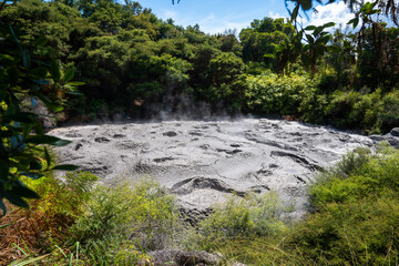 Naklejka na ściany i meble Bubbling geothermal mud pools in Rotorua New Zealand