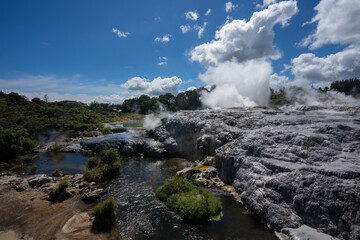 An erupting geothermal geyser in Rotorua New Zealand