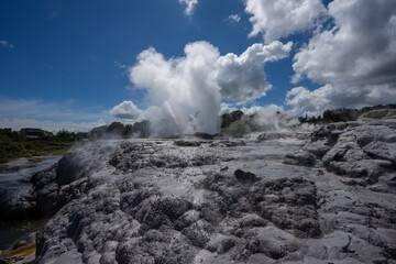 An erupting geothermal geyser in Rotorua New Zealand