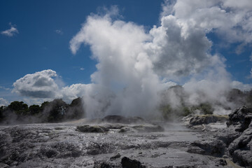 An erupting geothermal geyser in Rotorua New Zealand