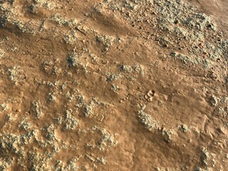 The rough texture of the river stone with the morning sun falling on its surface