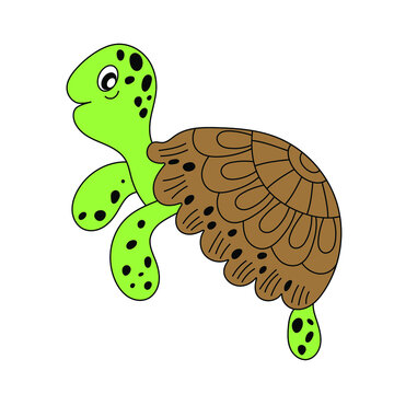 cartoon green turtle with brown shell