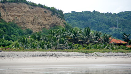 Palm trees on the beach in Canoa, Ecuador
