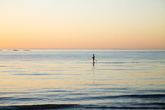 Single Paddle Boarder At Dawn