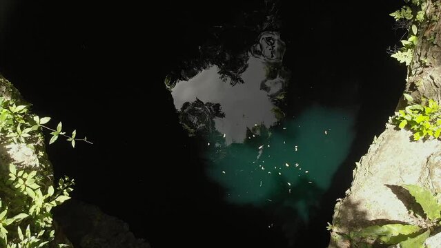 Entrance to cenote sinkhole with light reflection surrounded by green vegetation on a bright sunny afternoon in the tropical jungle of the Yucatan peninsula 