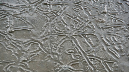 Lines made by snails in the sand on the beach, in Canoa, Ecuador