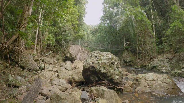 Man walks over suspension bridge in the distance over fast flowing Baxter Creek. Beautiful rainforest nature. Kondalilla National Park, Queensland. Australia.
