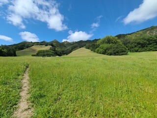 Grasslands at Las Trampas Wilderness, California