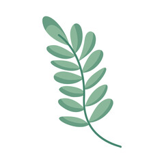 green branch with leafs