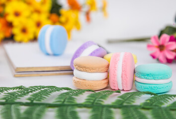 Colorful and delicious macaron cake