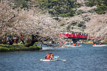 Hirosaki Cherry Blossom Festival 2018 at Hirosaki Park,Aomori,Tohoku,Japan on April 28,2018:Beautiful cherry blossoms and Shunyobashi Bridge across the western moat in spring.