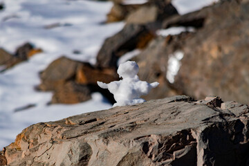 snowman on top of a big rock in the snowy mountain