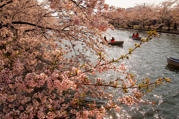 Hirosaki Cherry Blossom Festival 2018 at Hirosaki Park,Aomori,Tohoku,Japan on April...