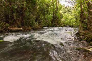 Fast  flowing Hermon stream in the area of the national park in northern Israel