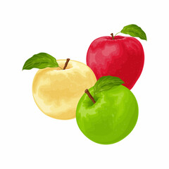 Apples. An image of apples of different colors. Red green and yellow apple. A collection of three apples. Vector illustration isolated on a white background