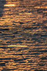 Stone block pavement in the rays of the setting sun. Texture