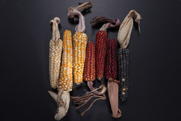 variety of corn colors Guatemala