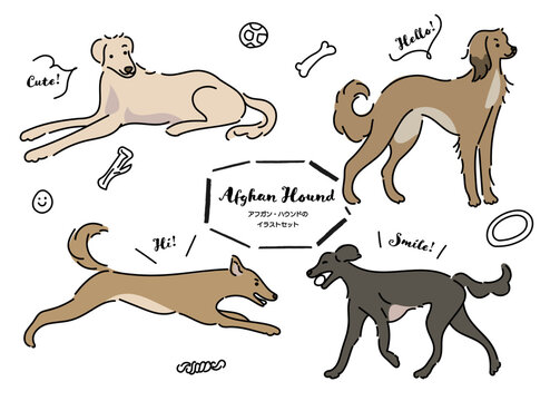 アフガン・ハウント　犬の手書きイラストセット