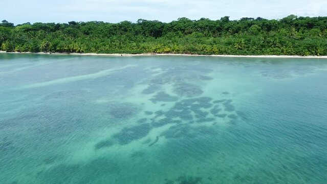 Cahuita, Costa Rica: Aerial drone footage of the beach in the Cahuita national park near Puerto Viejo on the Caribbean sea in Central America
