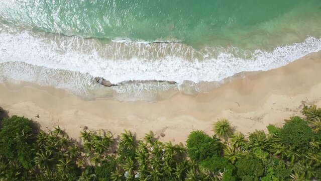 Puerto Viejo, Costa Rica: Aerial top down drone footage of the stunning beach near Puerto Viejo town along the Caribbean coast in Costa Rica in Central America.