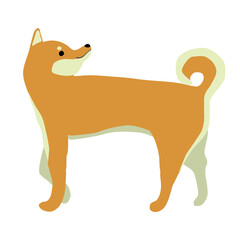 振り向きながら歩く柴犬のイラスト素材