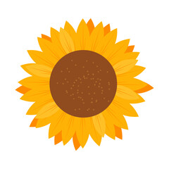 Sunflower National symbols of Ukraine. Vector illustration