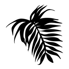 exotic leaf palm silhouette