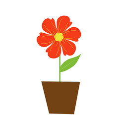 Houseplants