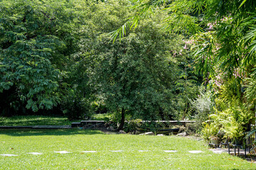 Green garden background with little wooden bridge beside frame in the walkway at noon time.