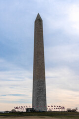 washington monument with many USA flagstaff, United States, USA downtown, Architecture and Landmark concept
