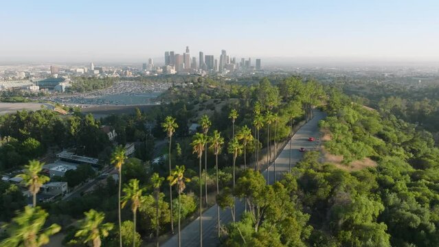 Drone flying above road lined with tall green palm trees. Palms in golden sunset light on Hollywood hills with scenic Los Angeles downtown panoramic view, California, USA aerial travel tourism footage