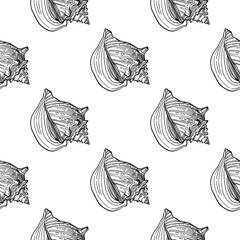 Shell pattern in a one line style. Outline of the plant: Black and white engraved ink art shells. Sketch wild flower for background, texture, wrapper pattern, frame or border.