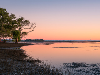 Seaside Sunrise with Mangroves