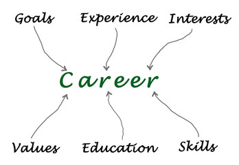 Obraz premium Factors determinng duccess in career