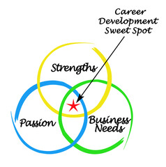 Sweet Spot of Career Development