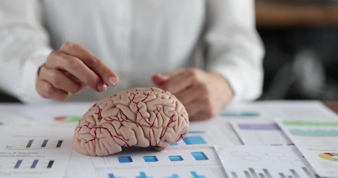 A woman puts a coin into an anatomical model brain