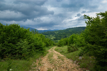 Naklejka na ściany i meble Road in the mountains. Low mountains covered with forest. Balkan mountains.