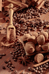 Chocolate truffles and a wooden spoon with cacao powder.