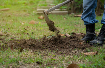 gardener digging soil to make hole for planting tree in the garden, soft focus