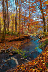 mountain river in the autumn forest. wonderful nature scenery in morning light. trees in colorful...