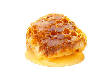 Honeycomb slice closeup