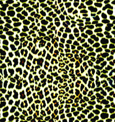 a metered pattern suitable for textiles consisting of wild animal skin