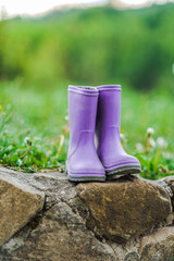 purple rubber boots stand on a stone against a background of green grass