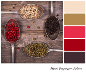 Mixed peppercorns in old spoons, black, white red and green varieties. In a colour palette with complimentary colour swatches. 
